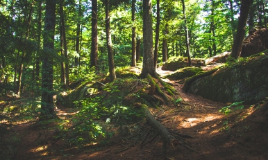 Region Thüringer Wald