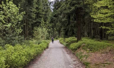 Friedrichroda Wandern in Friedrichroda. Thüringen entdecken und genießen.